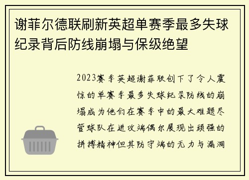 谢菲尔德联刷新英超单赛季最多失球纪录背后防线崩塌与保级绝望